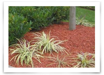 5 Ideas for How to Use Wood Chips in Your Yard